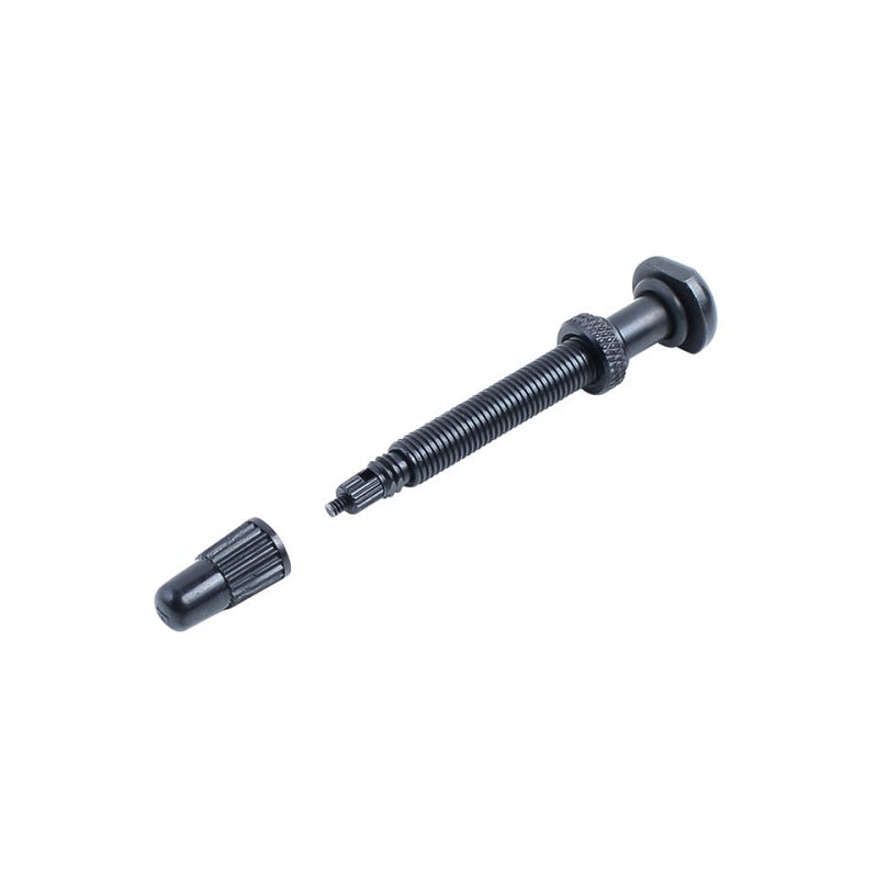 Bontrager Tlr Tubeless Valve Mtb 50MM