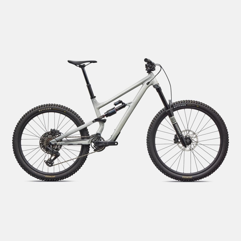 Specialized Status 2 170