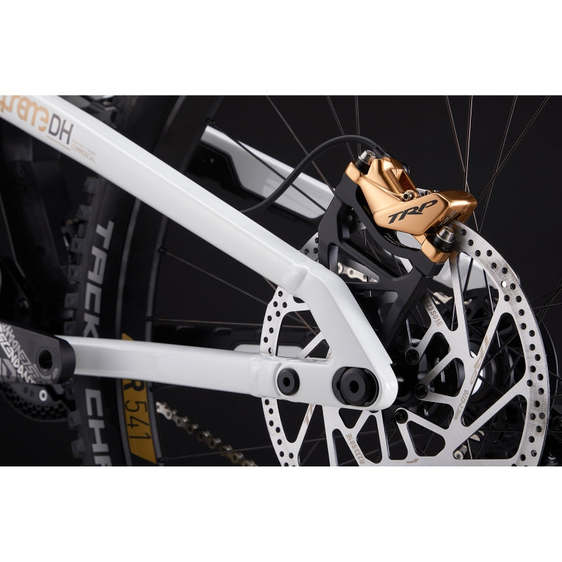 Commencal Supreme DH V5 Signature Ltd