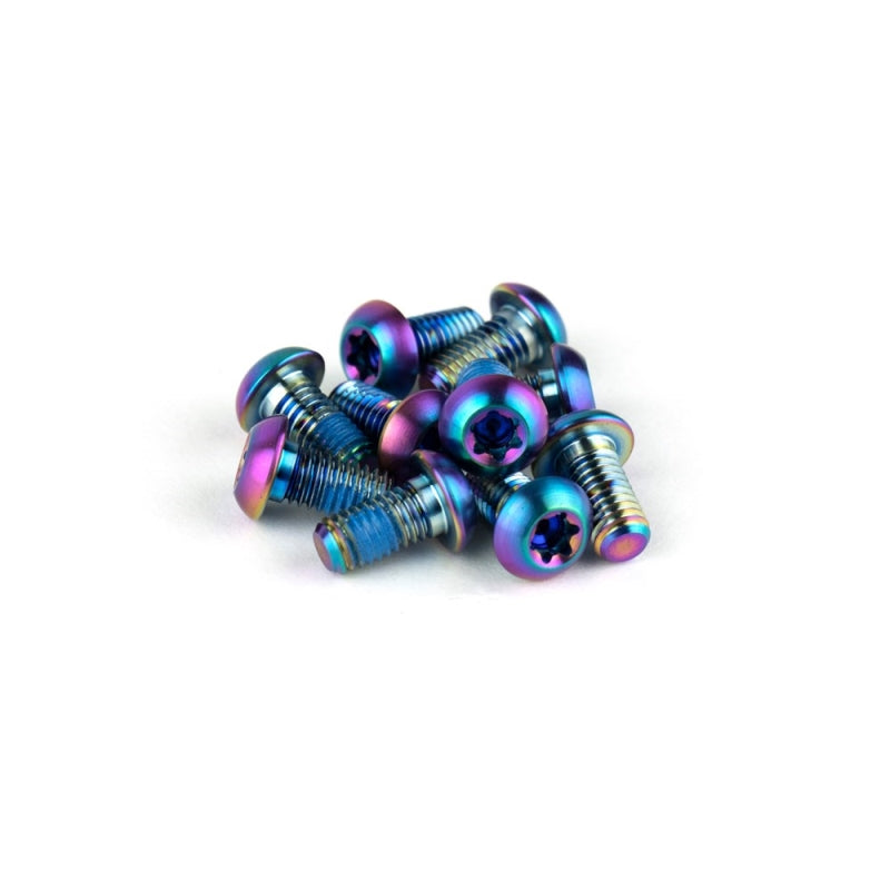 Sram Rotor Bolt Kit - Titanium T25 Rainbow Bolts - 12 Pack