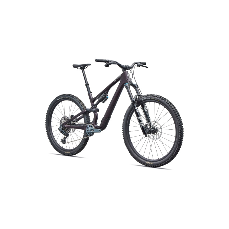 Specialized Stumpjumper 15 EVO Expert