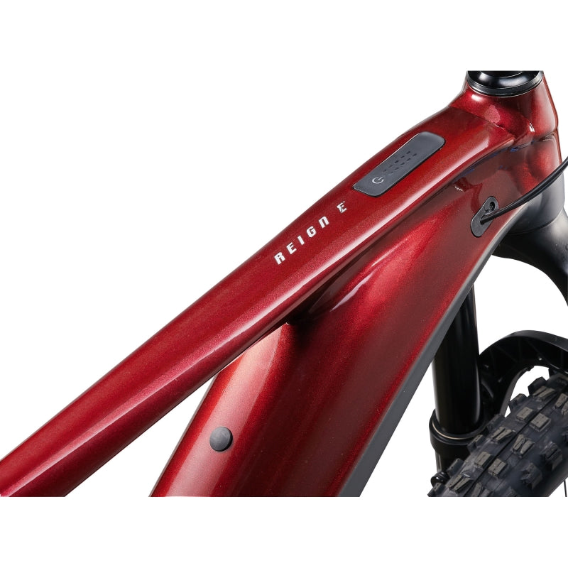 Giant Reign E+ 2