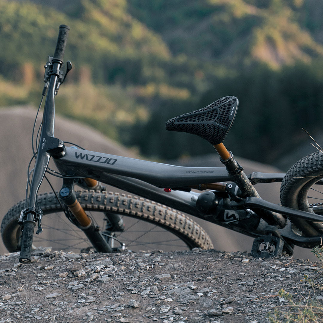 Fizik