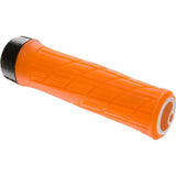 Ergon GE1 Evo Factory Grips