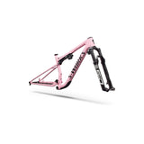 Specialized S-works Epic 9 Frameset