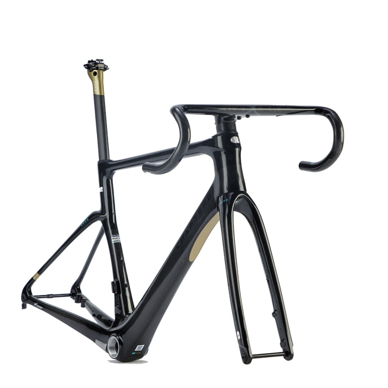 CHAPTER2 - Koko Koura (black Gold) Medium