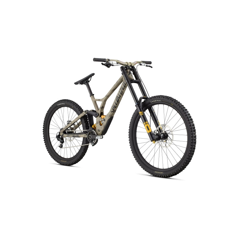 Specialized Demo Race