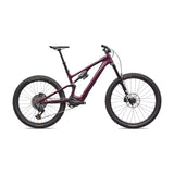 Specialized Turbo Levo SL 2 Expert