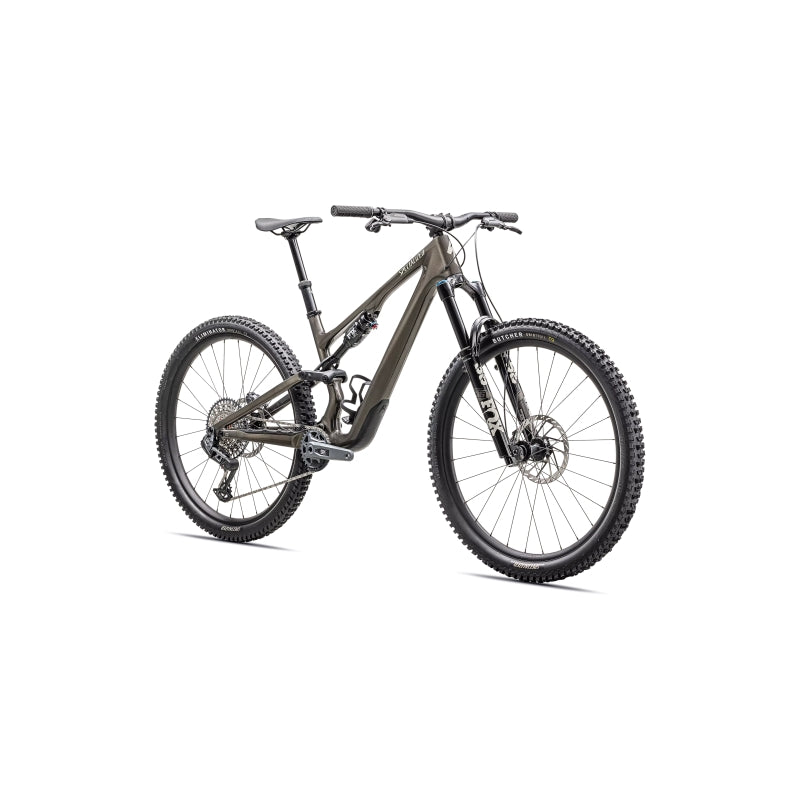 Specialized Stumpjumper 15 Expert