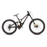 Specialized Demo Race