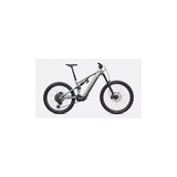Specialized Levo 4 Evo Pro