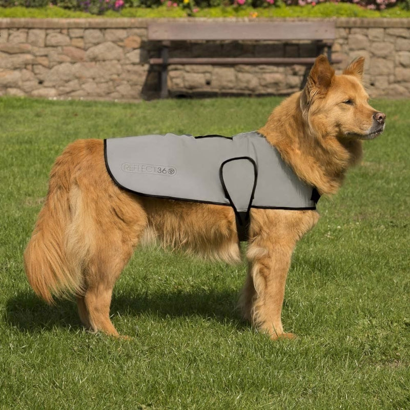 Proviz REFLECT360 Dog Jacket