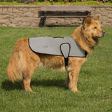 Proviz REFLECT360 Dog Jacket