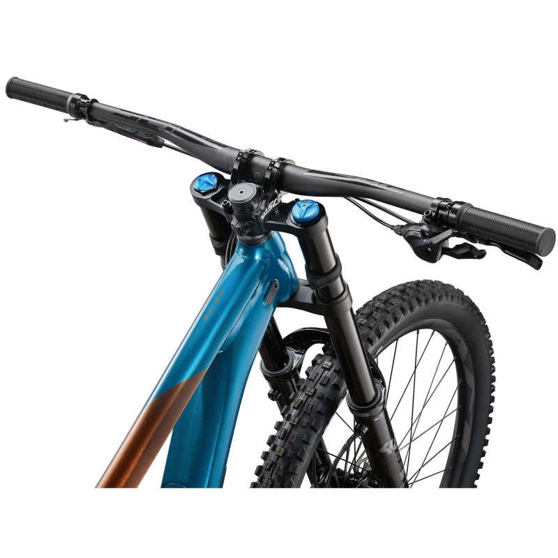 Giant Reign SX