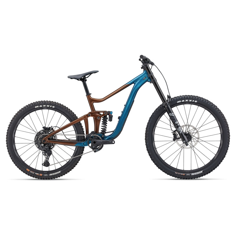 Giant Reign SX