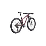 Specialized Epic World Cup Expert