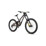 Specialized Demo Race